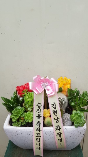 인테리어화분