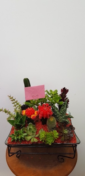 개업축하화분