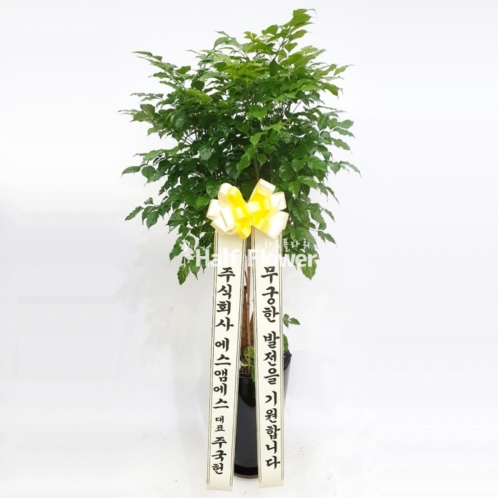 상세이미지