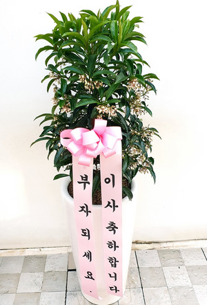 부자되세요 만년금
