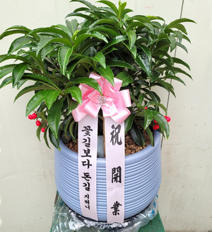 개업대박기원 만냥금